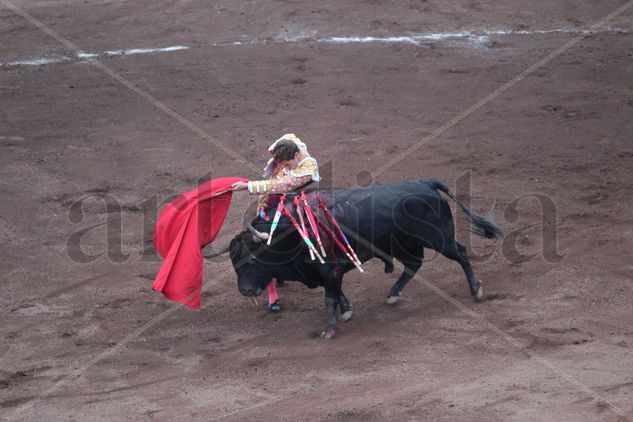 Torero Ginés Marín Viajes Color (Digital)