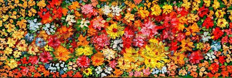 Flores