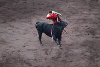 Torero ENRIQUE PONCE