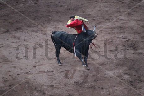 Torero ENRIQUE PONCE