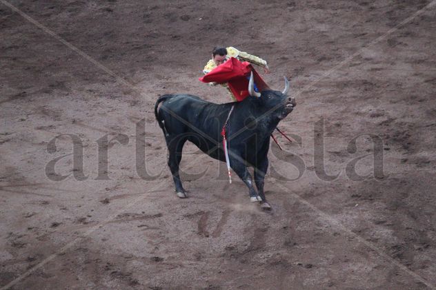 Torero ENRIQUE PONCE