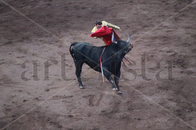 Torero ENRIQUE PONCE Travel Color (Digital)