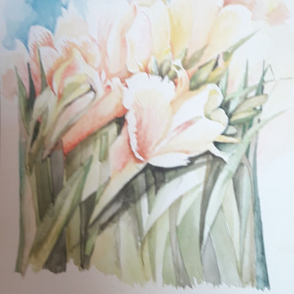 Tulipanes