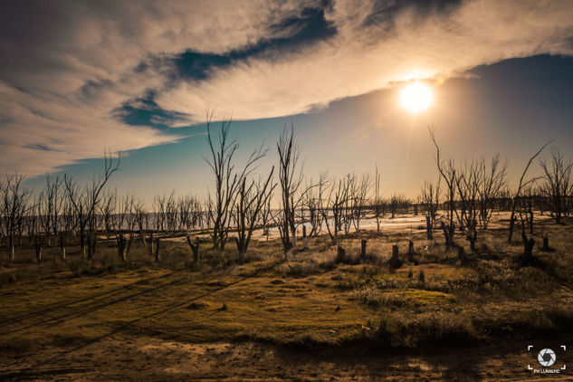 EPECUEN Travel Color (Digital)