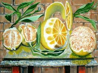 Bodegón de naranjas Oil Canvas Still Life Paintings