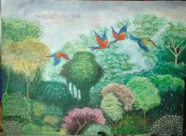 Paisaje selvático en medio de la bruma, vista permanente de las bellas guacamayas