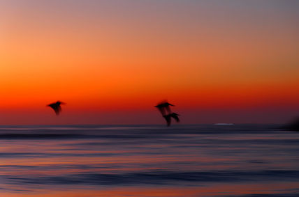 Amanecer