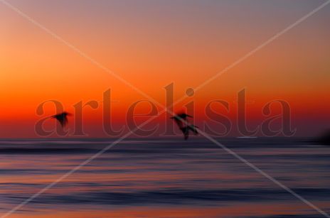 Amanecer