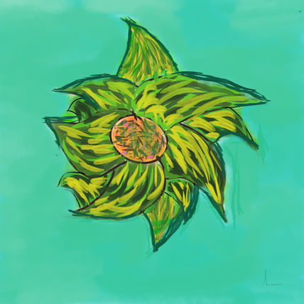 Girasol