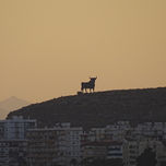 landscape pictures thumbnail 1