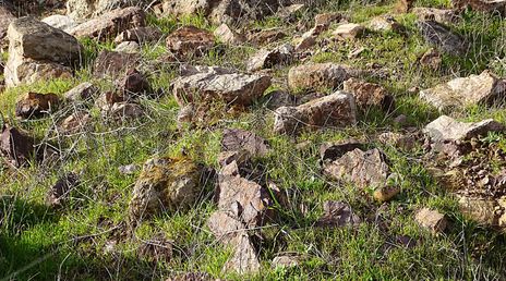 Yellow stone