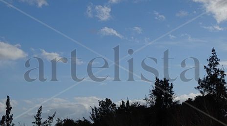 To the sky