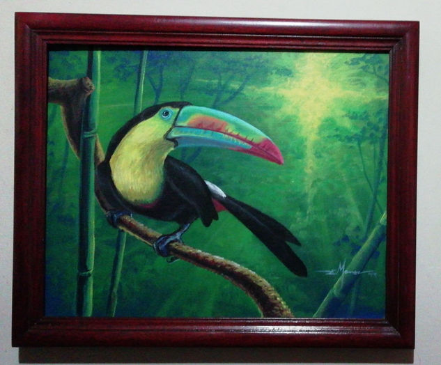 Tucan pico arco iris Acrylic Canvas Animals