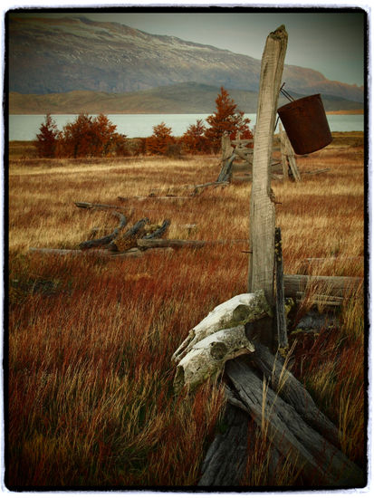 Patagonia indómita Naturaleza Color (Digital)