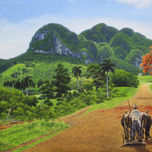 Homenaje a Viñales thumbnail 1