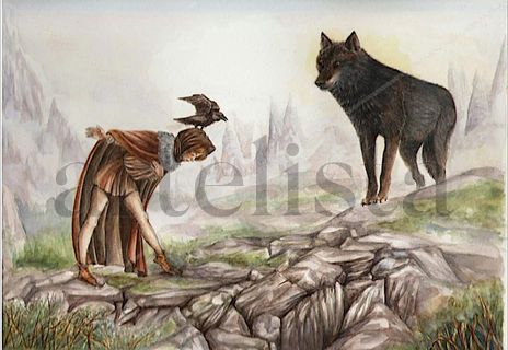 Lobo de las montañas