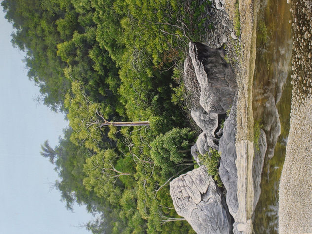 Reflejos Óleo Lienzo Paisaje