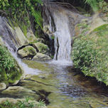 Homenaje a la Sierra Maestra thumbnail 1