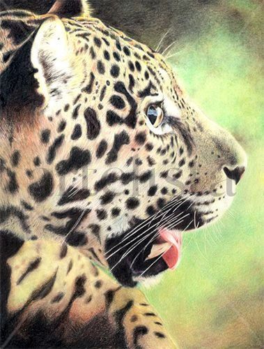 Leopardo Pencil