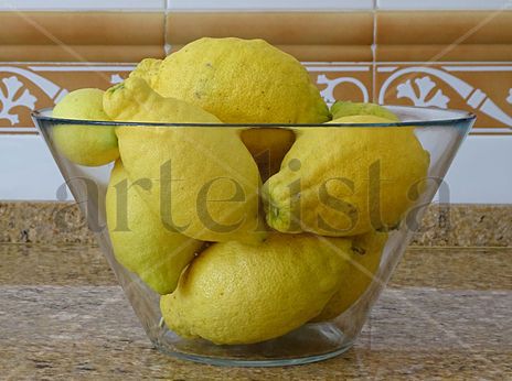Lemons 41x55