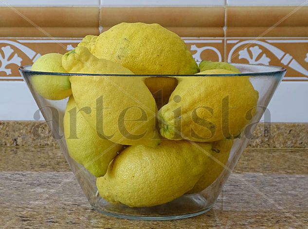 Lemons 41x55 Bodegones Color (Digital)