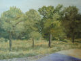 paisaje de primavera
