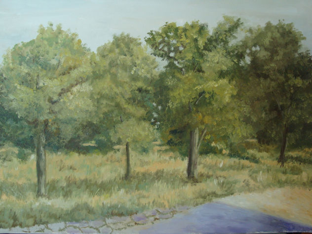 paisaje de primavera