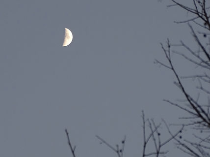 Moonligth 41X55