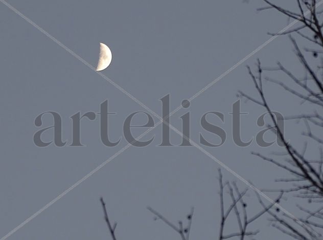 Moonligth 41X55