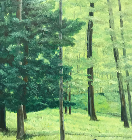 Bosque verde