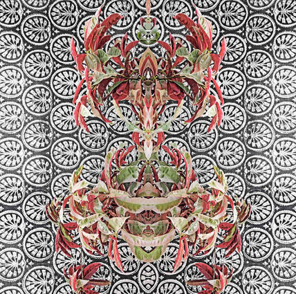 Bohemian botany