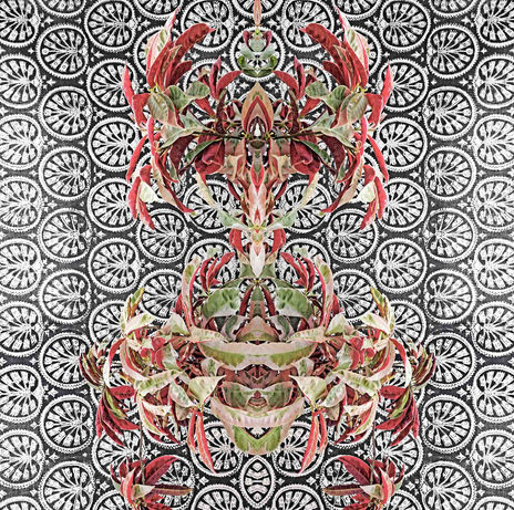 Bohemian botany
