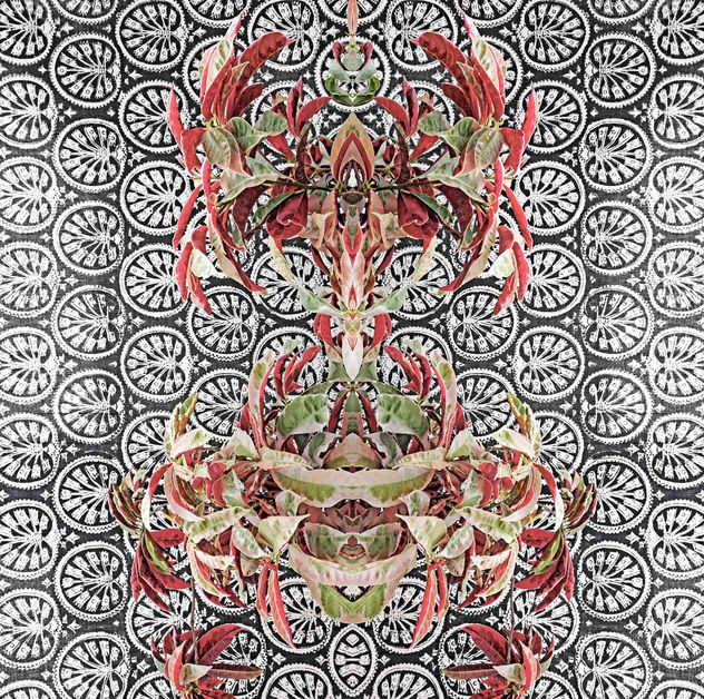 Bohemian botany