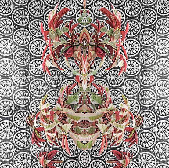 Bohemian botany Conceptual/Abstract Color (Digital)