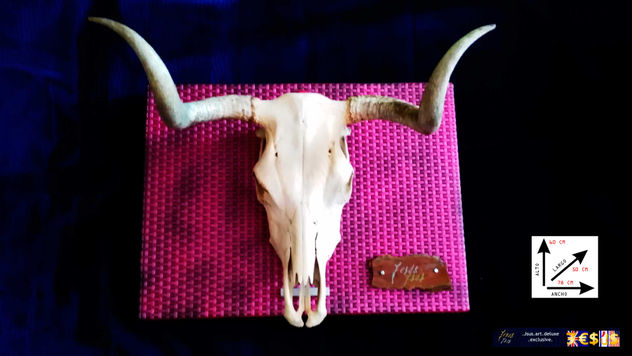 TORO ROSA Jsus art deluxe exclusive