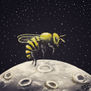 Bee moon