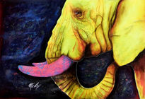 Elefante Amarillo