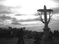 mirador