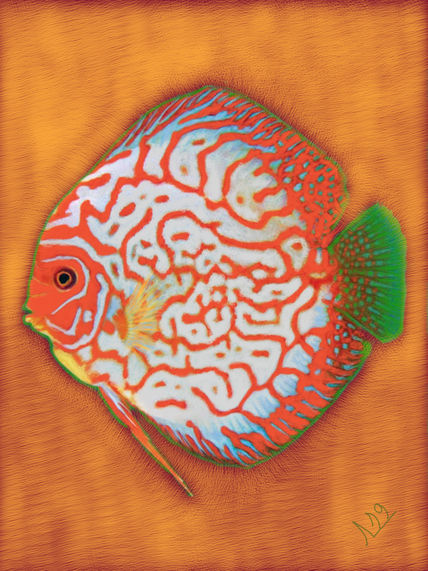 Pez naranja