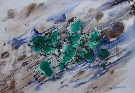 Vida en las rocas