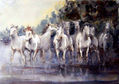 Caballos en la marisma