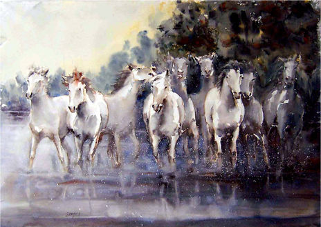 Caballos en la marisma