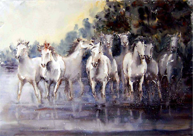 Caballos en la marisma