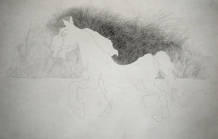 Caballo 15