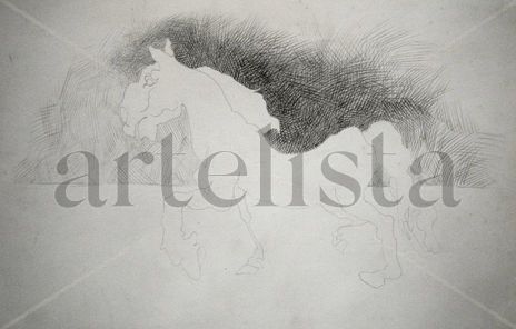 Caballo 15