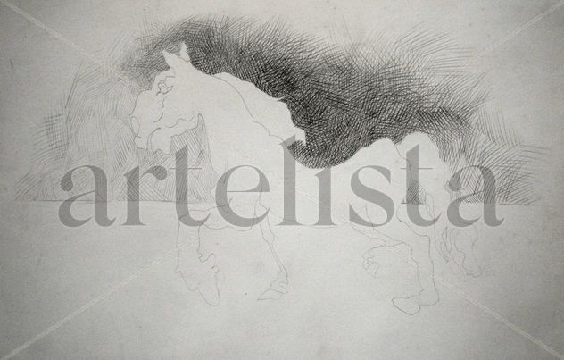CABALLO 15