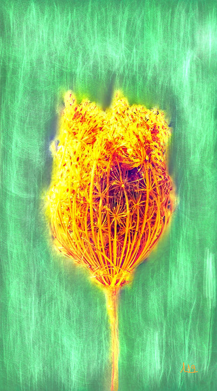 Flor seca