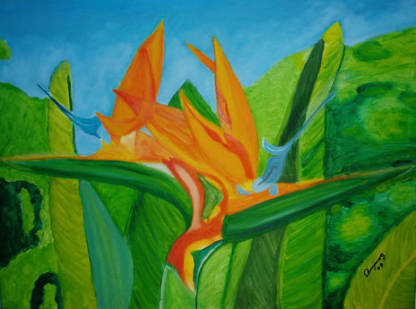 Flor del Paraiso