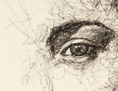 Eye of Marion Cotillard.