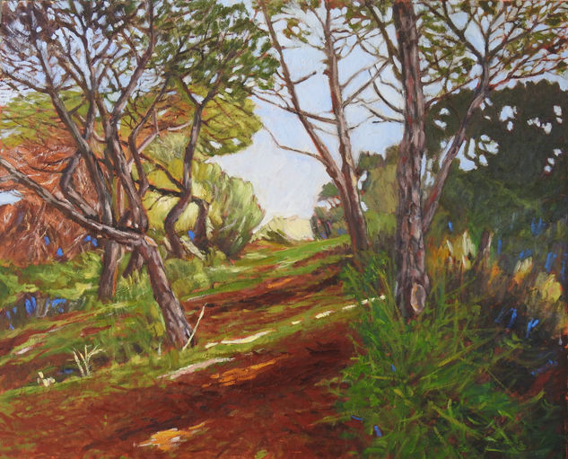 Pinos Oil Paper Landscaping